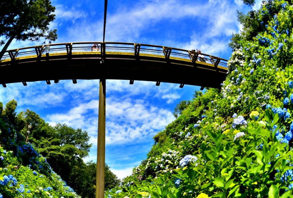 🏯 구로바네 성터 공원(쿠로바네죠시코엔) 이미지 7